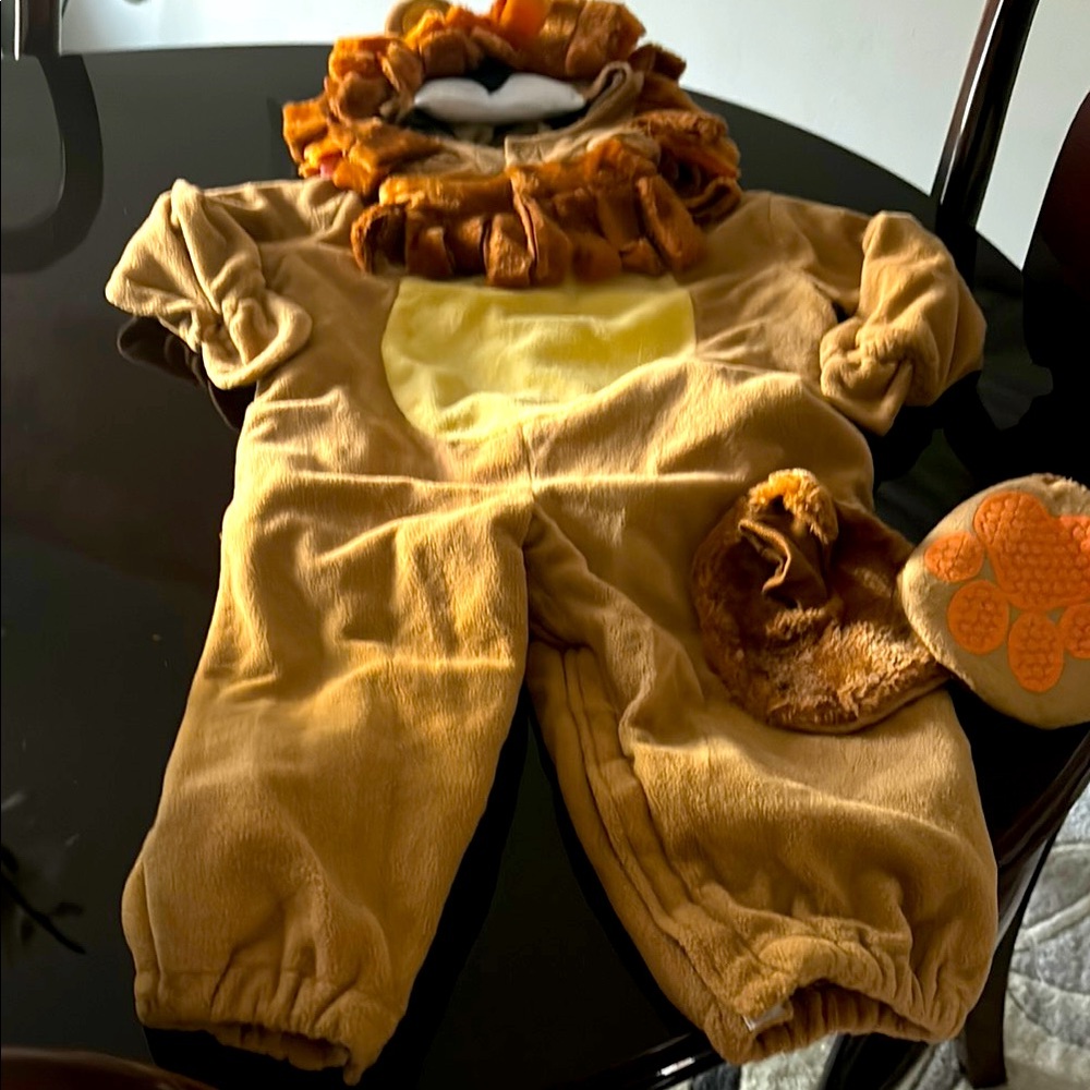 NEW Child’s Lion Costume